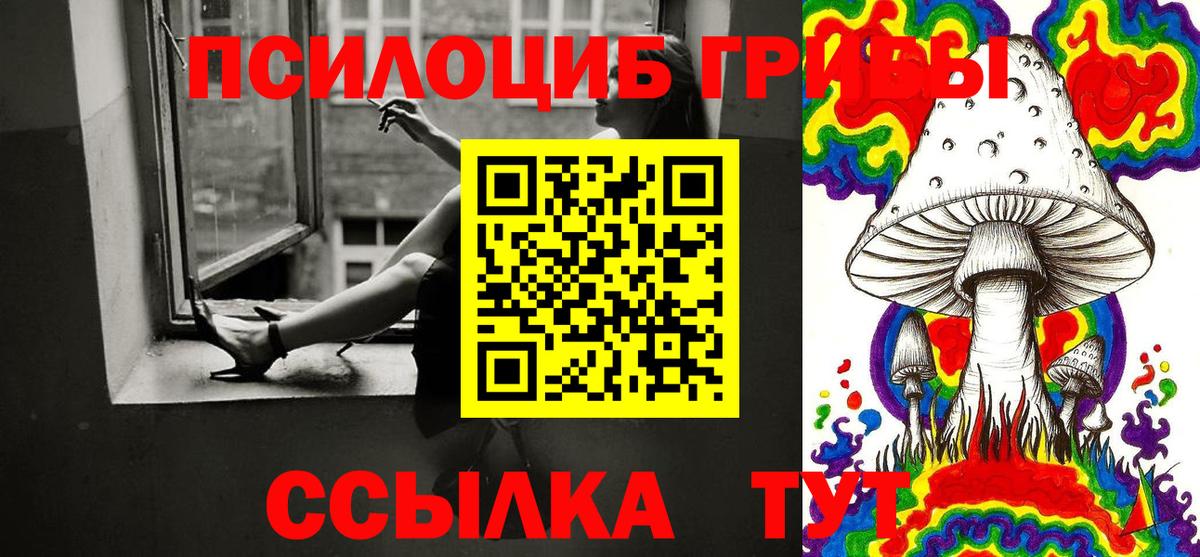 Галлюциногенные грибы Cubensis  Галлюциногенные грибы мицелий  Вход с VPN  Михайловск 