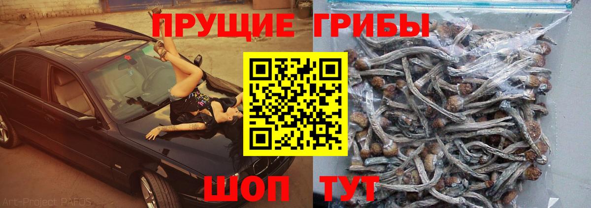 Псилоцибиновые грибы прущие грибы Михайловск